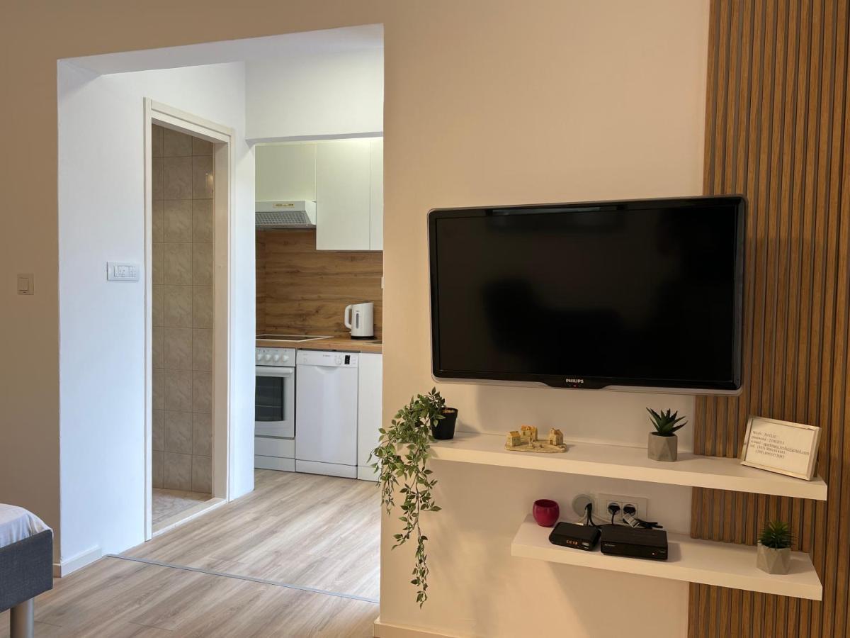 Apartment Ivelic *
