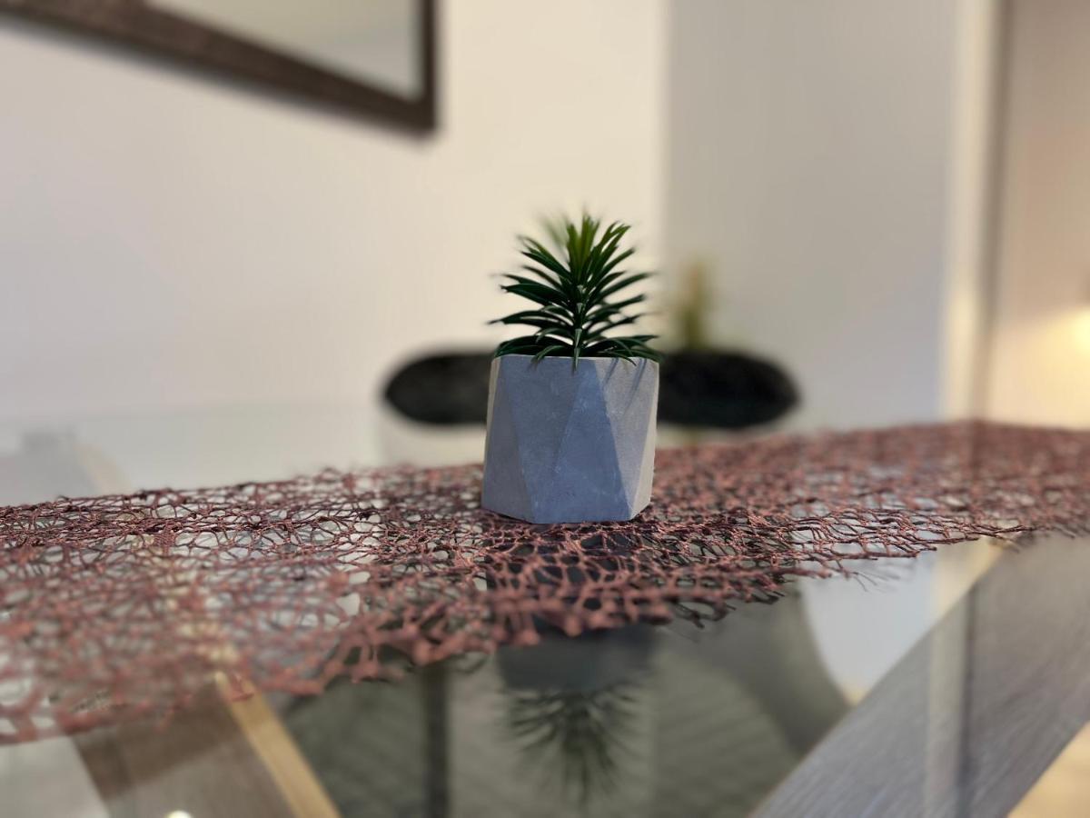 Ivelic Apartment
